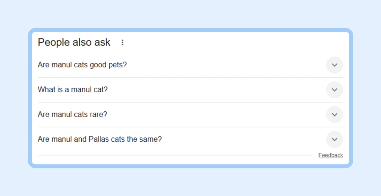 People Also Ask expands topics within search results